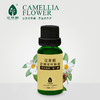 花果树  老树茶籽精油（20ml） 商品缩略图0
