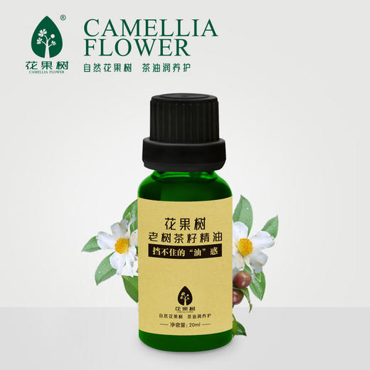 花果树  老树茶籽精油（20ml） 商品图0