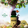 花果树  老树茶籽精油（20ml） 商品缩略图4