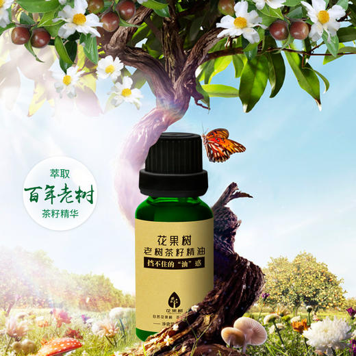 花果树  老树茶籽精油（20ml） 商品图4