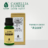 花果树  老树茶籽精油（20ml） 商品缩略图2