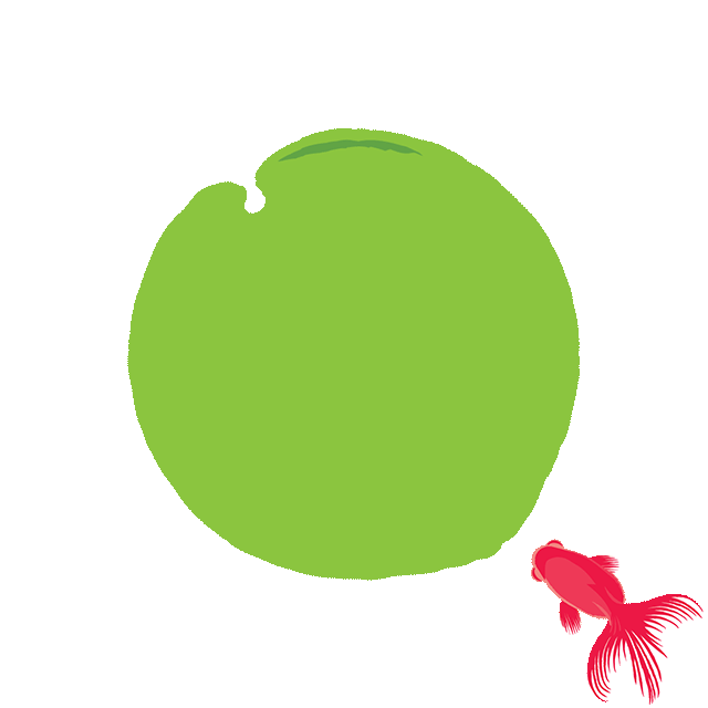 专栏-模拟成团-0521