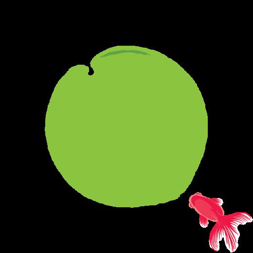 专栏-模拟成团-0521 商品图0