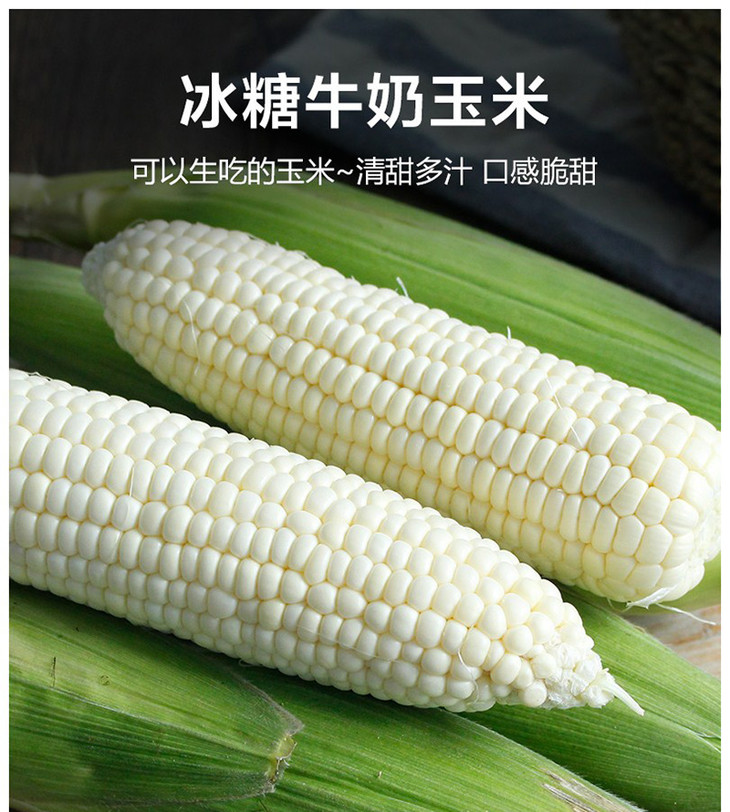 牛奶玉米台湾牛奶水果玉米即食生吃,约4斤 7根装