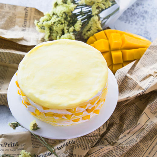 芒果千层 商品图2