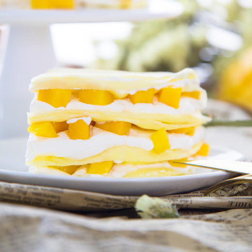 芒果千层 商品图4