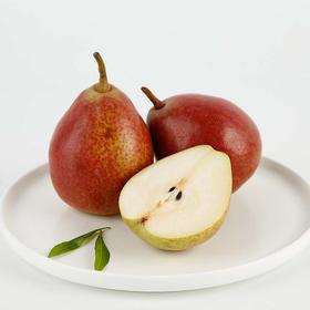 优选|南非彩色啤梨 低卡高纤 绵软清甜 2盒约1.6kg