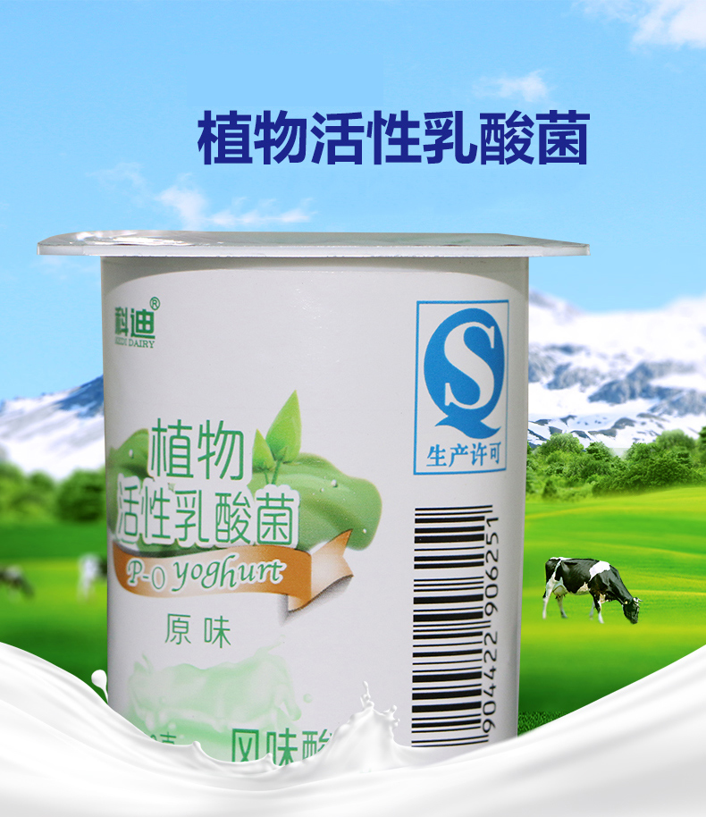 04.28-05.23】科迪植物活性乳酸菌原味风味酸乳95g*8杯(酸奶)