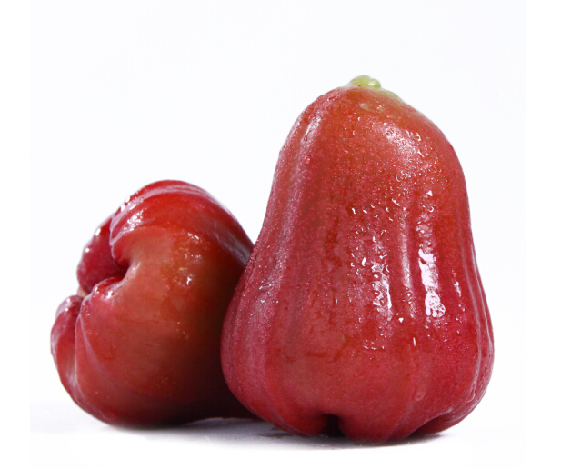 海南黑金刚莲雾5斤礼盒装 顺丰空运全国