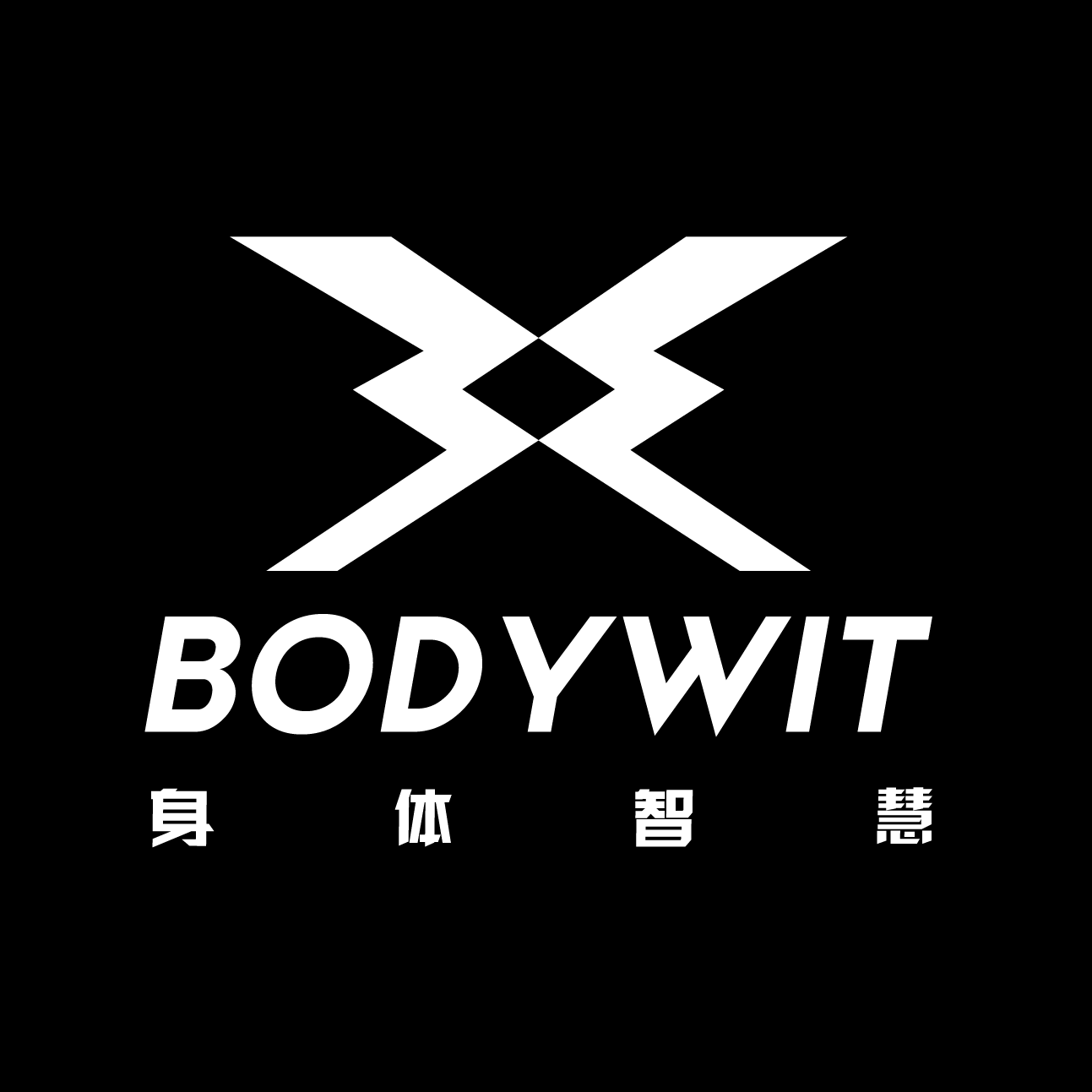 BODYWIT(身体智慧)