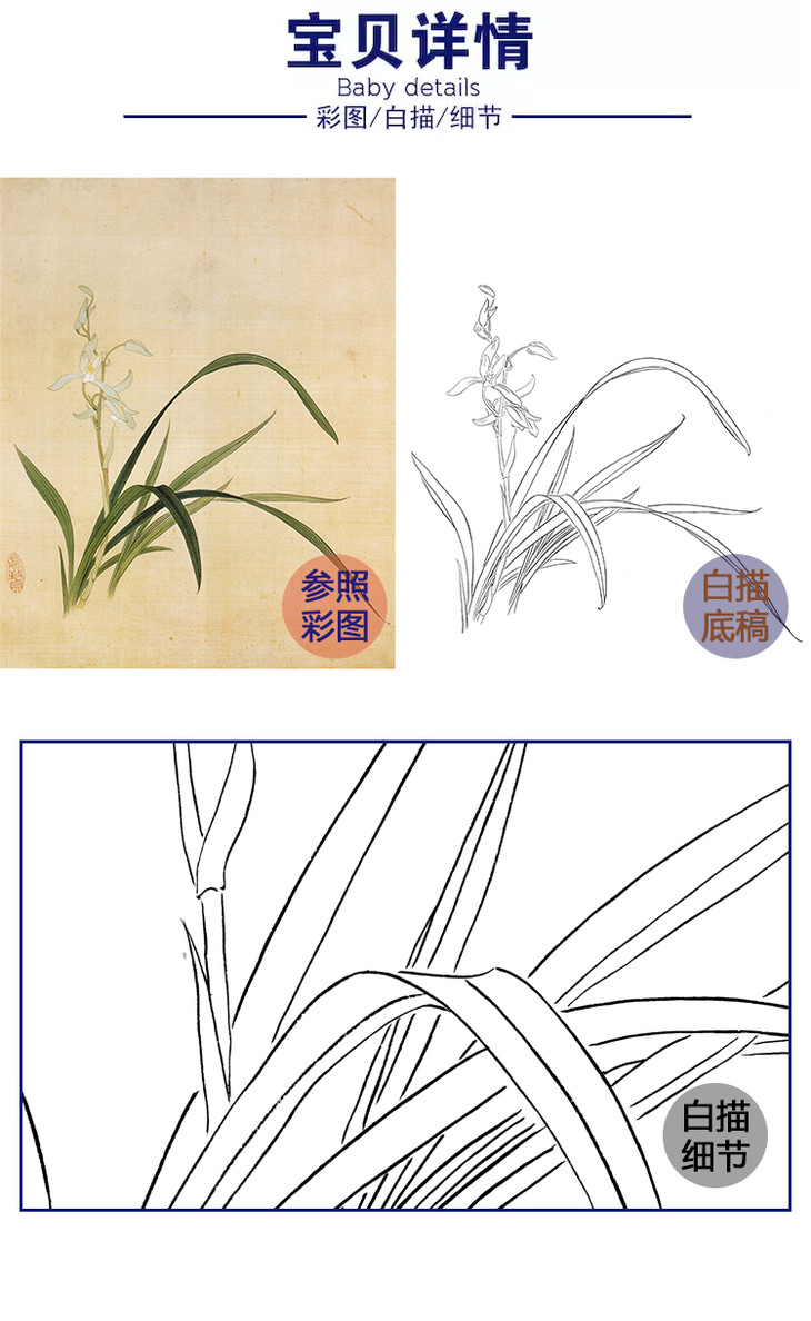 俞致贞工笔花鸟白描底稿兰花秋兰斗方小品册页jv23