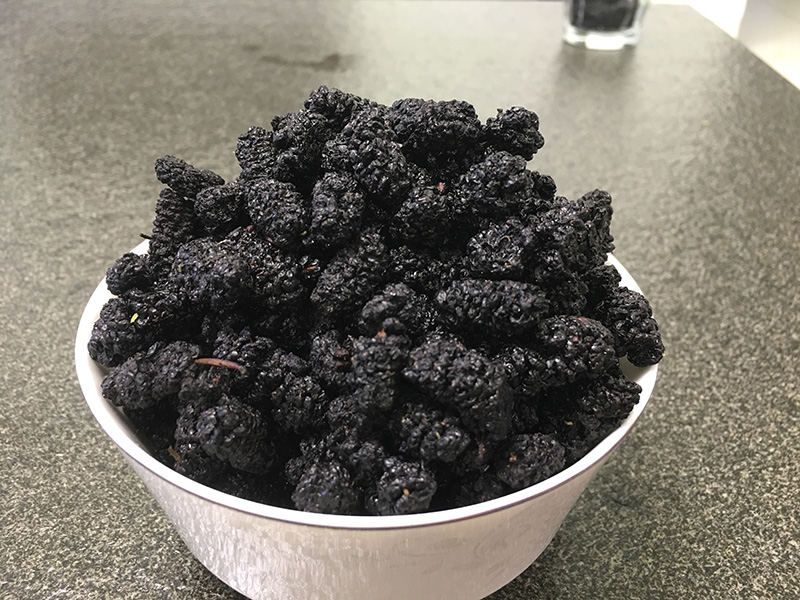 攀枝花无沙桑葚干500g