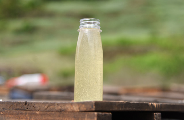 苕子蜜,也叫雪脂莲蜜