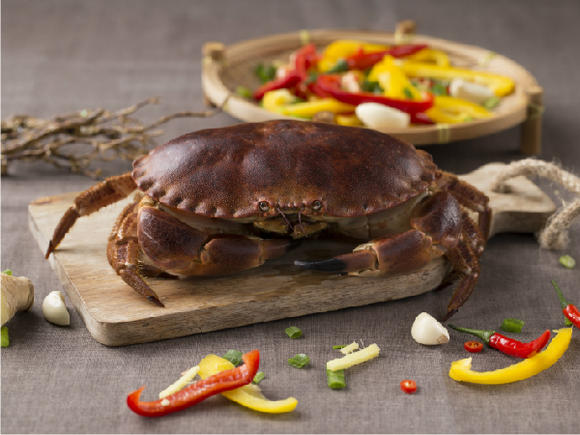 鲜活面包蟹 800g/只