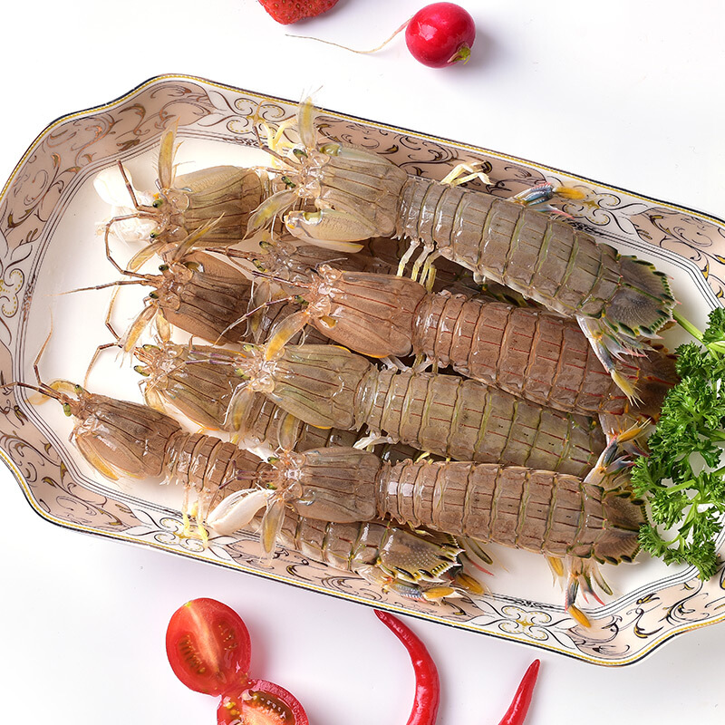 【活鲜】濑尿虾 400g