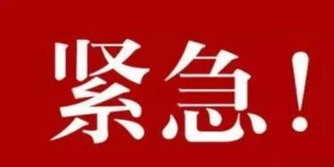 加急件(单拍无效)