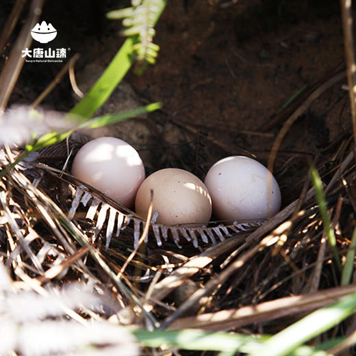 欢喜富硒土鸡蛋30枚每箱 桂东 商品图1