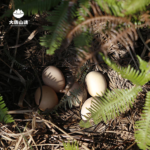 欢喜富硒土鸡蛋30枚每箱 桂东 商品图3