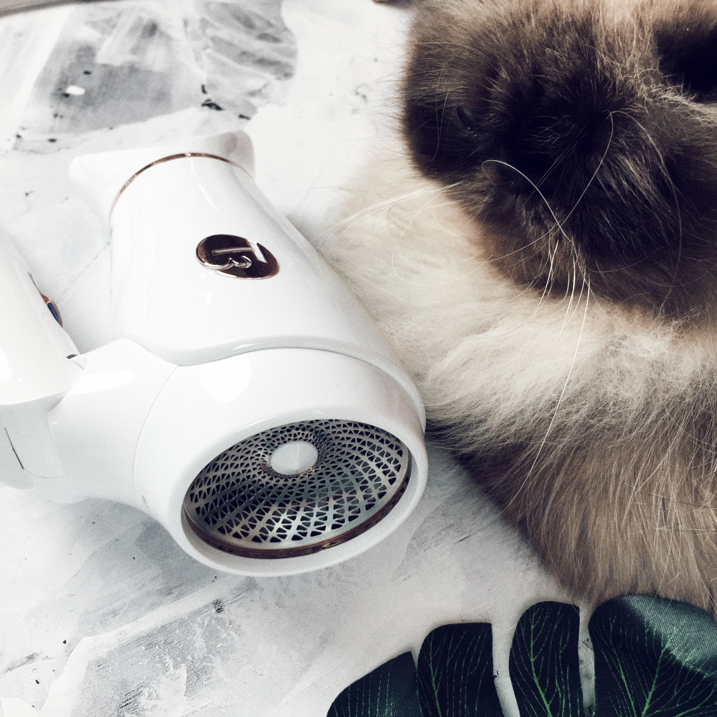 T3便携版吹风机 Featherweight Compact 无需