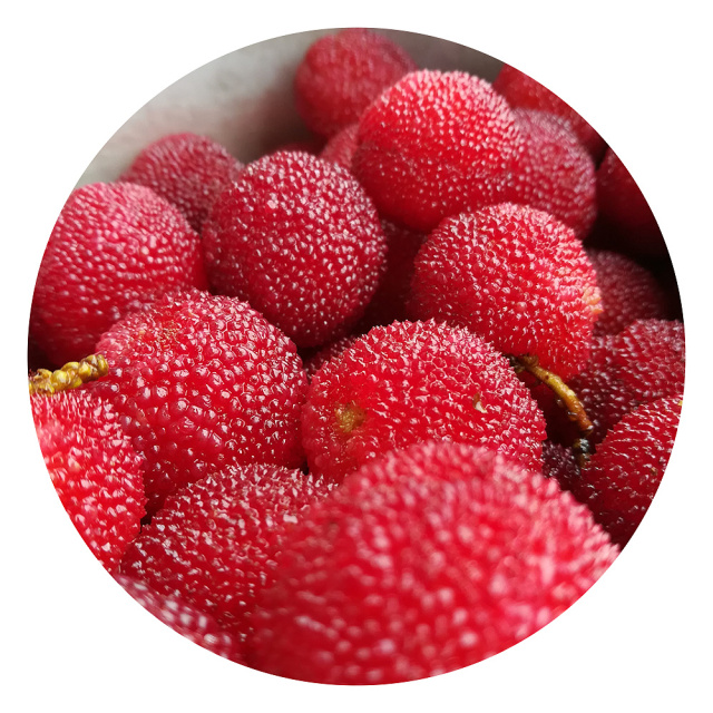 泡酒,做酸梅汤,做蜜饯