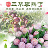 商品缩略图