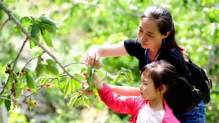 探索自然/挑战闯关/爱在陪伴【238元】1大1小周末亲子游!