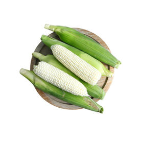 【6根装】白美人玉米 新鲜水果
