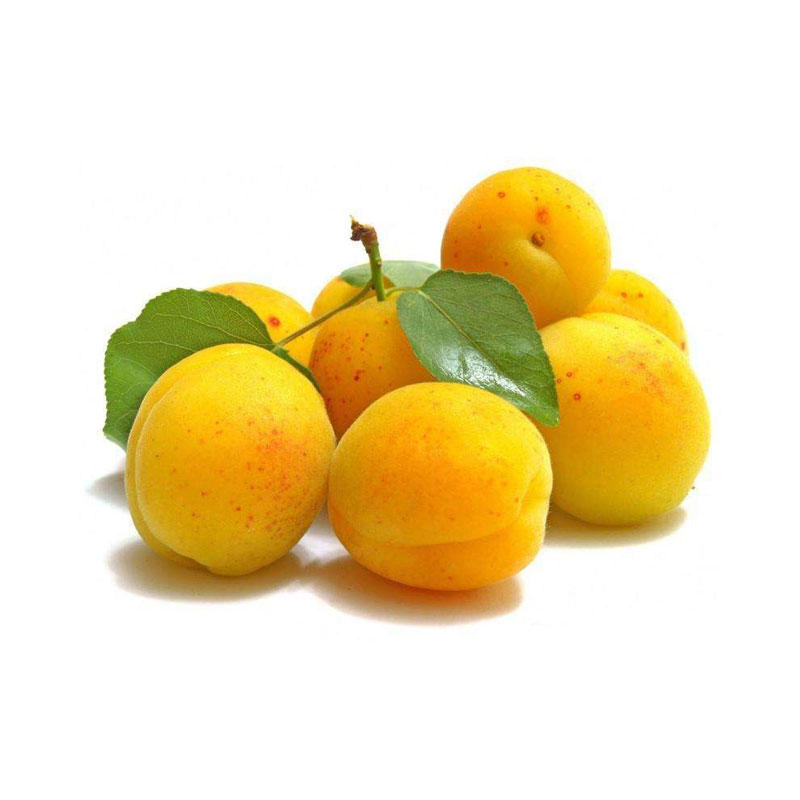 新疆托克逊小白杏礼盒4斤