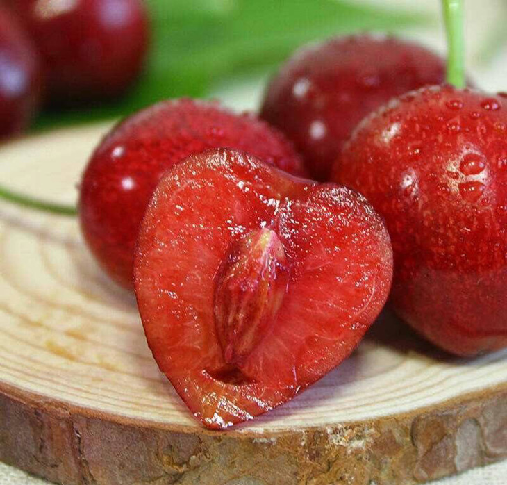 山东威海露天大樱桃 果农直供 美早,萨米脱大樱桃 优选大果 预售 现摘