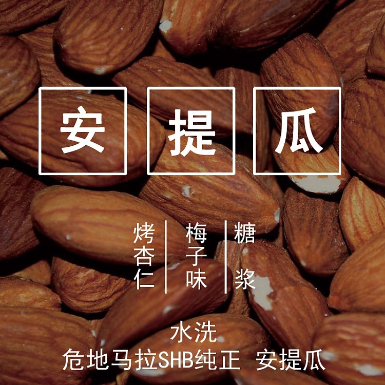 危地马拉shb纯正 安提瓜 水洗 /单品挂耳10包装