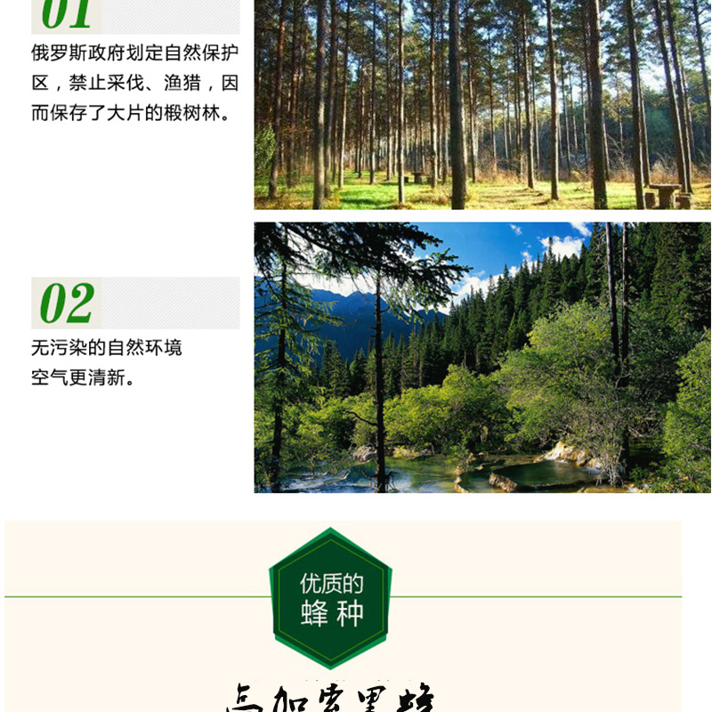 【俄罗斯黑蜂椴树蜜】来自俄罗斯锡霍特山脉,