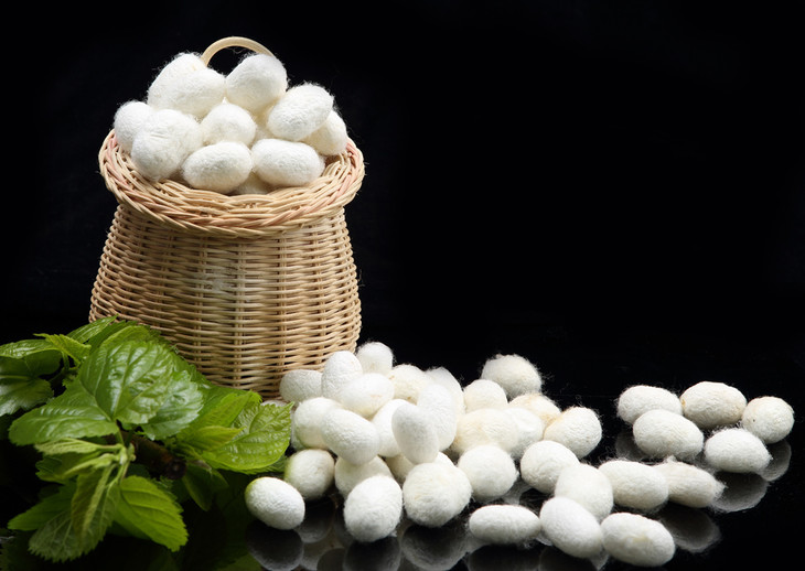 创立80余年的蚕丝龙头企业 浙锦手工蚕丝被 远销海外 国际好口碑