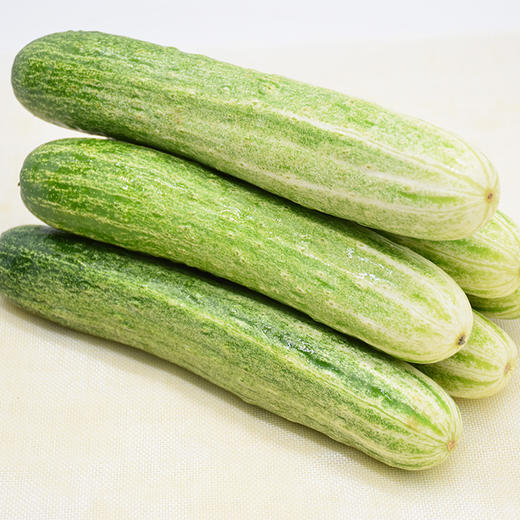 黔东南锦屏【本地黄瓜/旱黄瓜】5斤装 限贵州省内购买,包邮