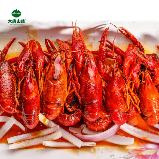 大唐山臻高山泉水爆头虾单只8钱以上3斤装新鲜活虾顺丰包邮
 商品图3