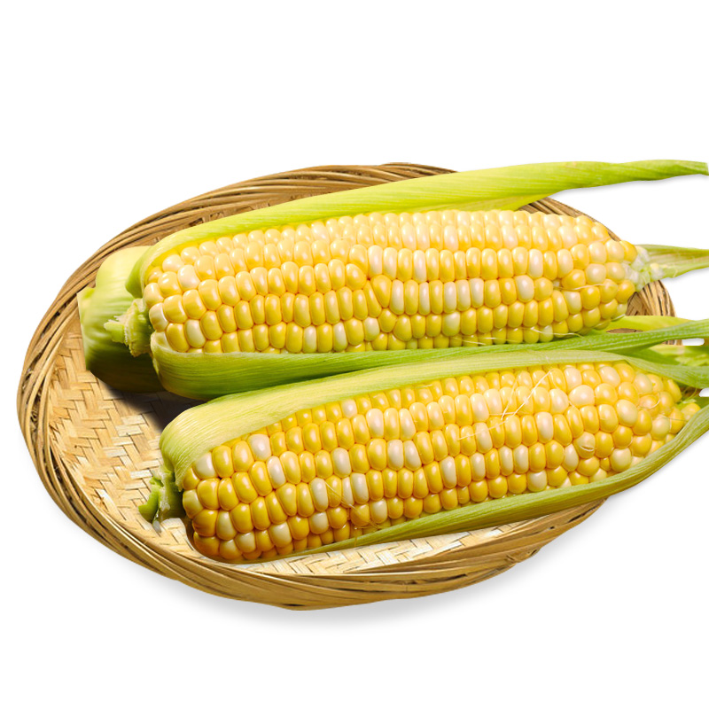 云南水果玉米