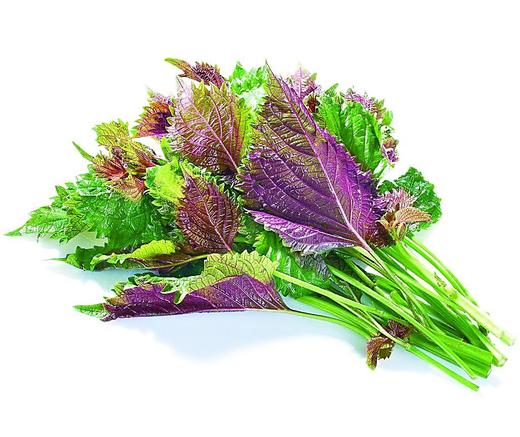 112紫苏 1份 商品图1