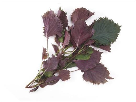 112紫苏 1份 商品图0