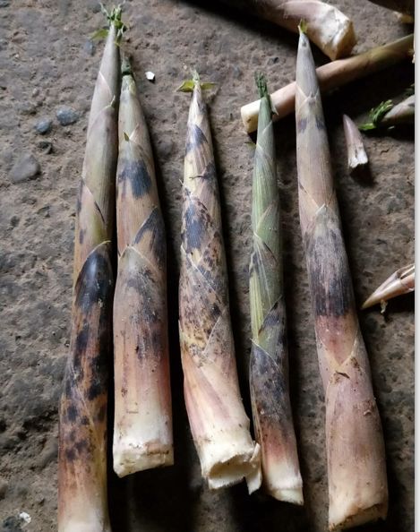 合作生产 | 野生石笋干