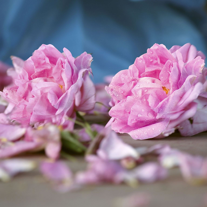 纯天然补水大腕一等一土耳其大马士革玫瑰纯露