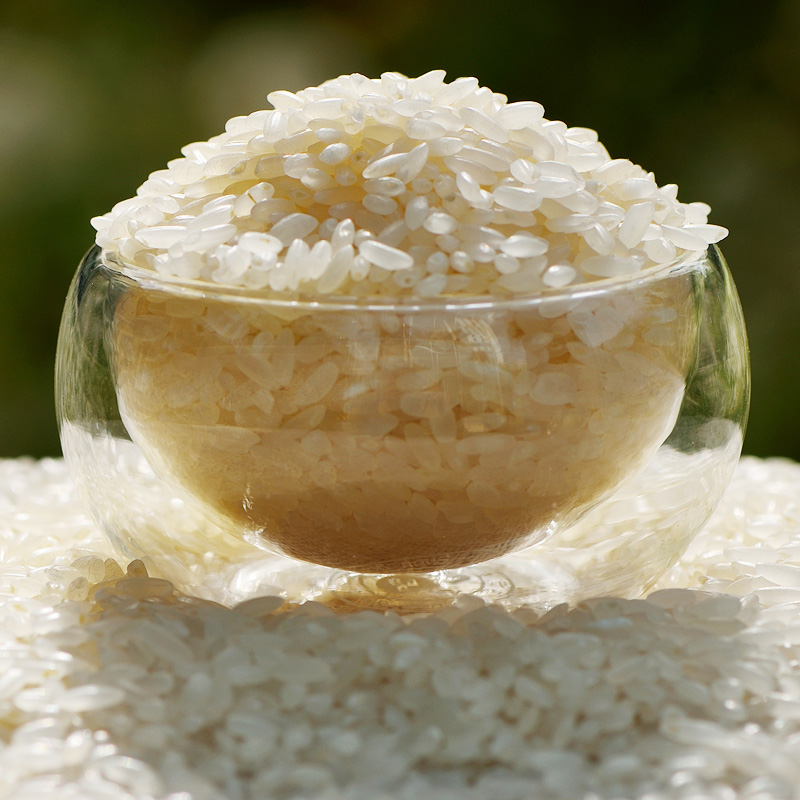 兰州市区免费配送甘肃军粮 五常金粳原香米5公斤(精选推荐)