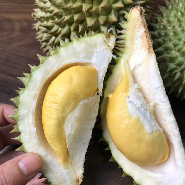 【同城/城际】泰国巴掌榴莲 一个香甜带壳迷你小榴莲