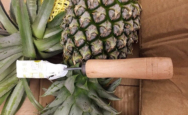 菠萝营养价值也非常高,富含维生素,蛋白质及钙,铁等微量元素,属营养