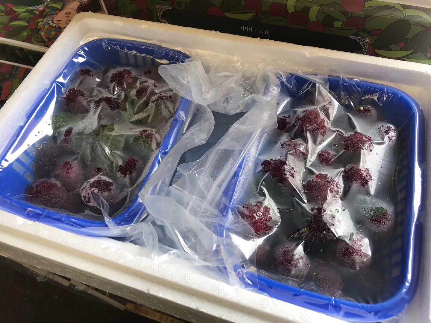 东魁杨梅真空装 特级首发 品质杠杠的 江浙沪皖包邮,其余按顺丰空运