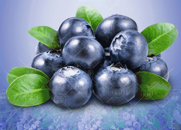 来溢香丨新鲜蓝莓,吃出健康来!3盒装