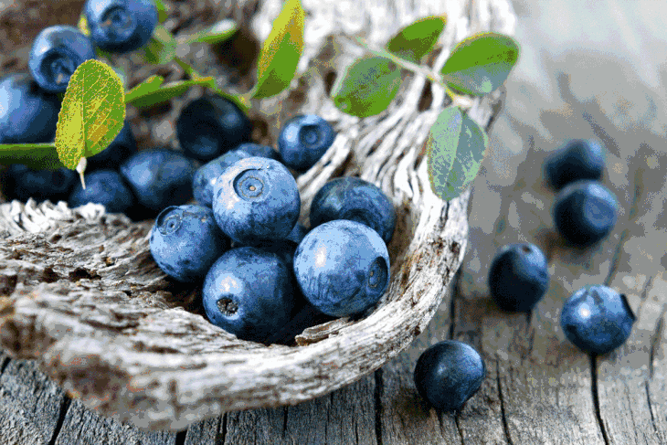 来溢香丨新鲜蓝莓,吃出健康来!3盒装