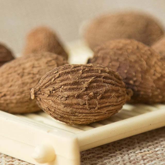 益知仁 砂仁 伸筋草 中药材香料