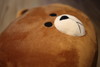 米朵礼物｜LINE FRIENDS CHOCO（丘可）or BROWN（布朗）熊抱枕毛绒抱枕30cm时尚可爱动漫周边靠垫 商品缩略图7