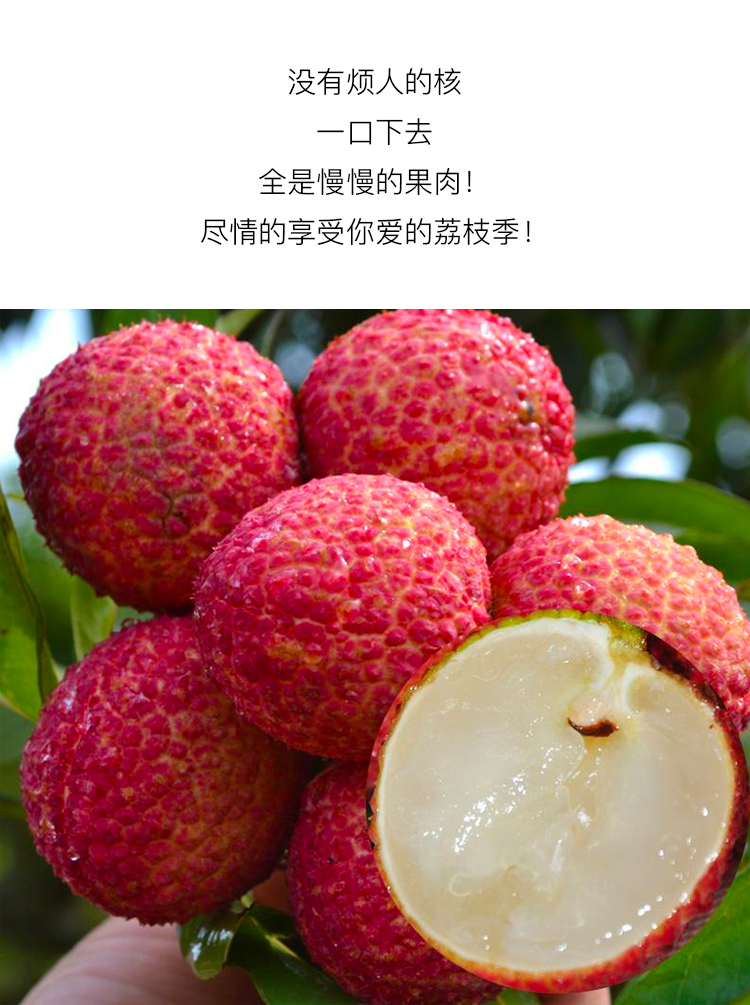 海南陆侨无核荔枝,海南无核荔枝,无核荔枝(第13页)_大山谷图库