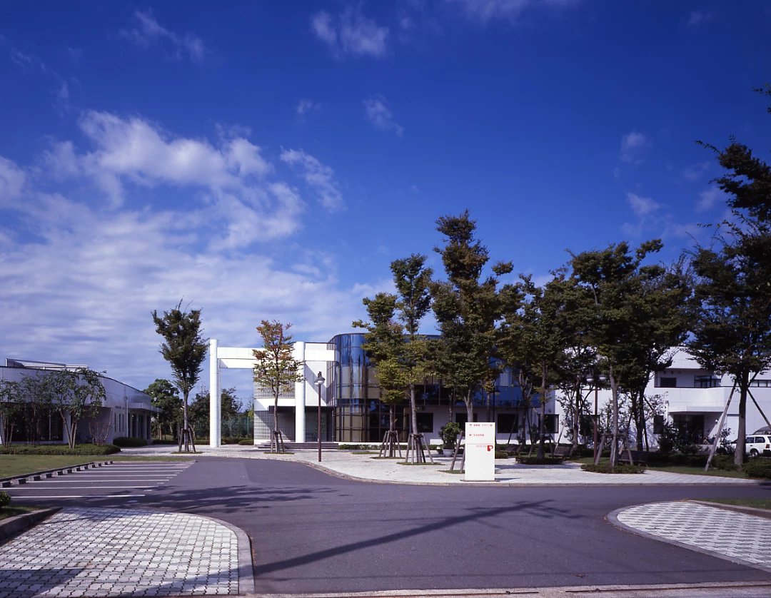 pigeon高端类羊水胎脂成分,促进婴儿皮肤屏障功能成熟,婴儿泡泡发露