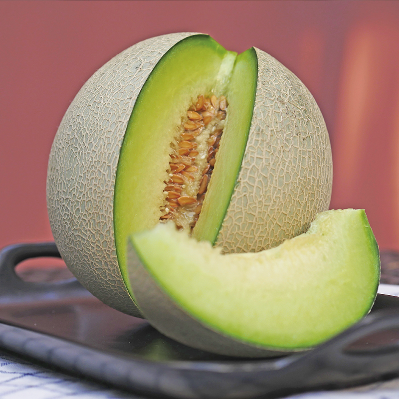 网纹蜜瓜 第二份减10元〕 一瓜一藤 两个装(约5斤)